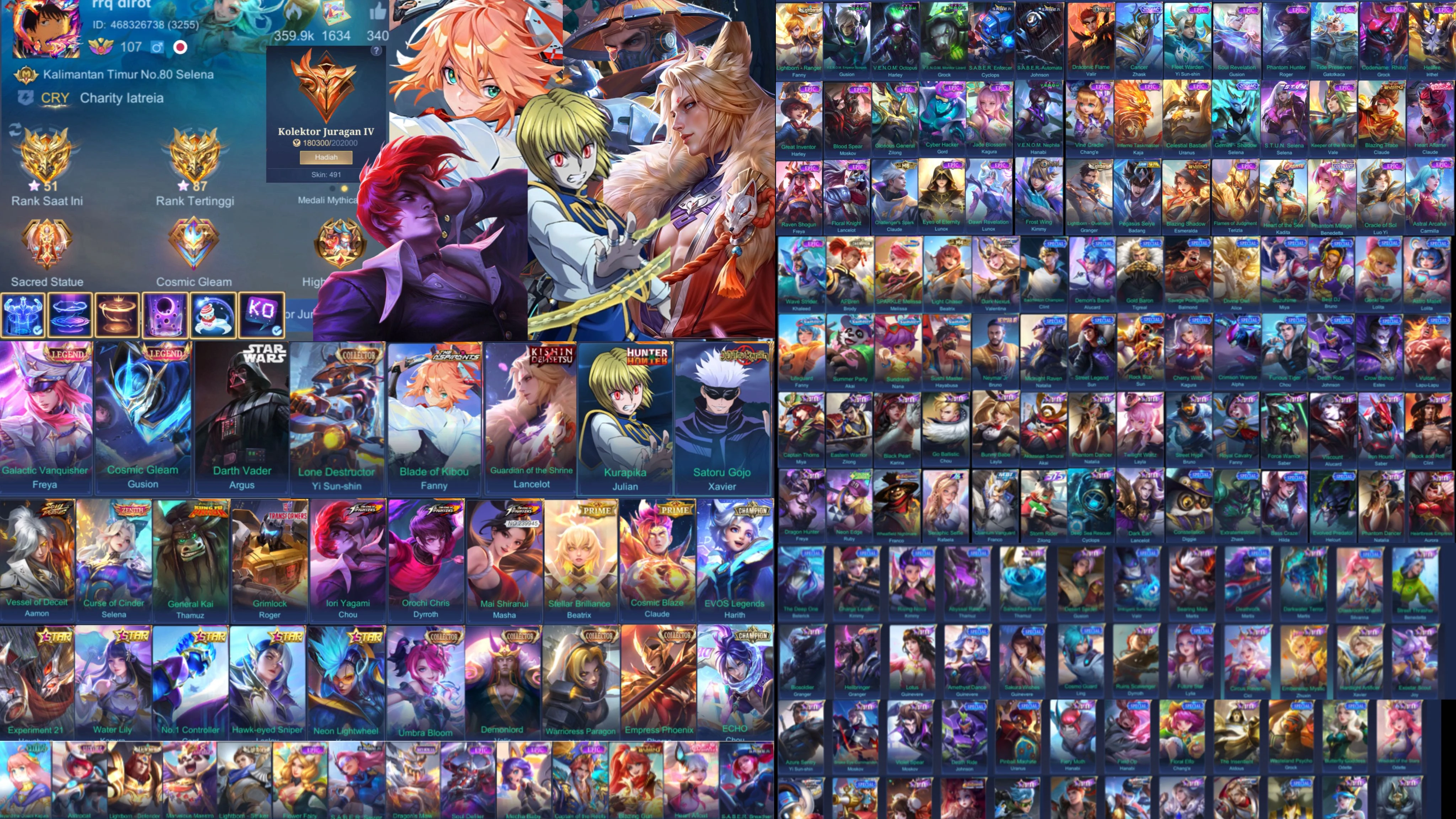 Account ML 491 Skins