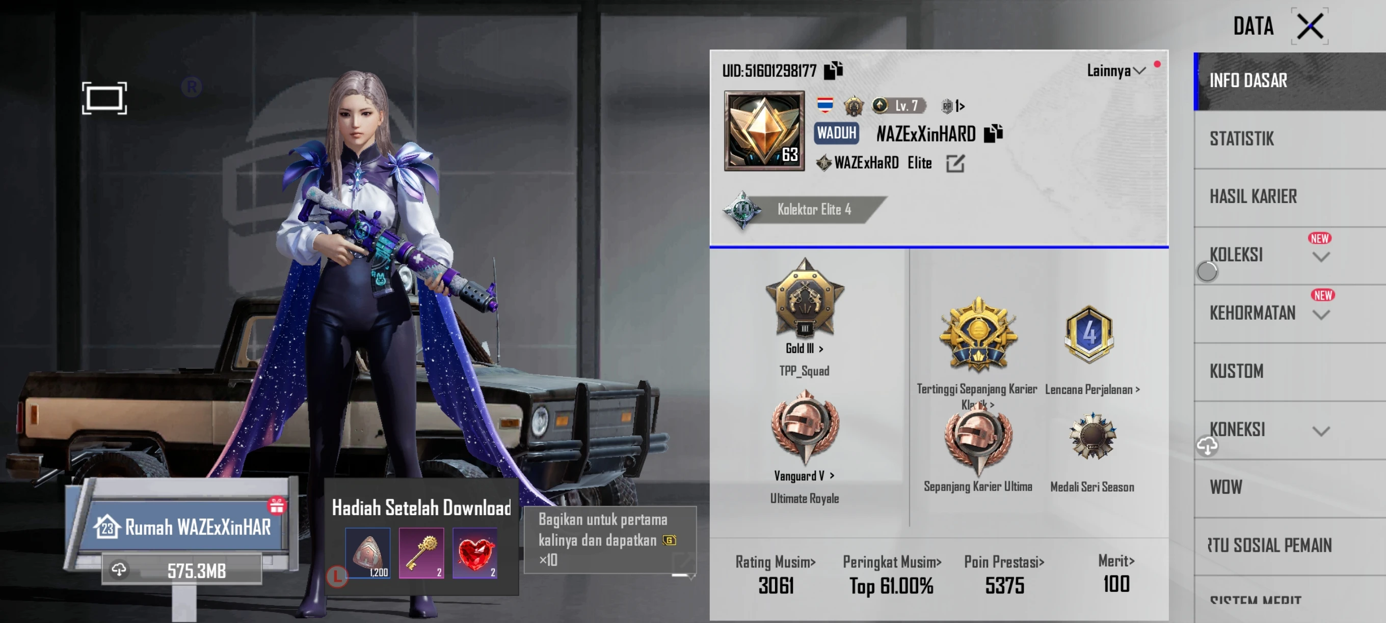 PUBG account